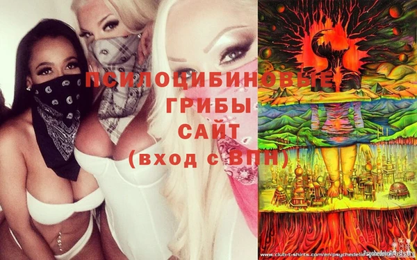 мдпв Белокуриха